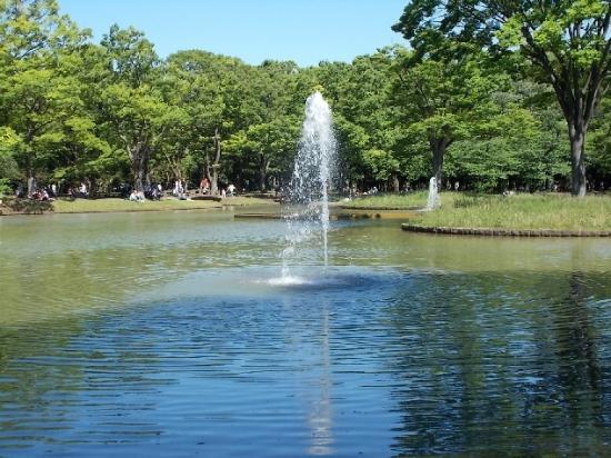 Yoyogi Park